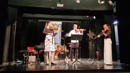 Koncert GS Trebnje na Mirni, foto Lapego (16)